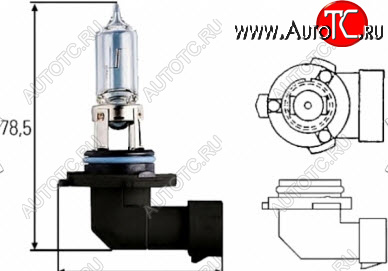 88 р. H10 (12V-42W  PY20D) ЛАМПА УПАКОВКА (1 шт) BLICK BODYPARTS lph1000-980-o  с доставкой в г. Пермь