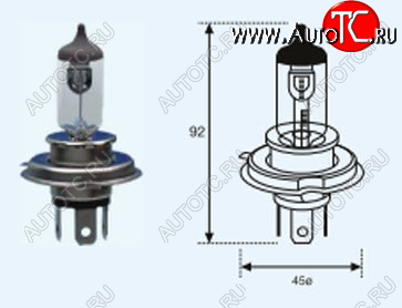 212 р. H4 (12V-60-55W  P43T Long Life) ЛАМПА УПАКОВКА (1 шт) SELUM BODYPARTS lp0h400-981-o  с доставкой в г. Пермь