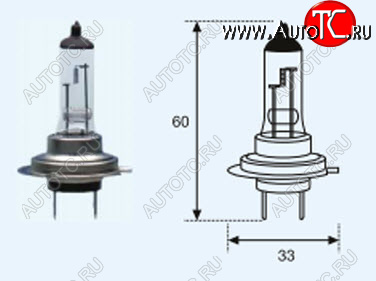 57 р. H7 (12V-55W  PX26D) ЛАМПА УПАКОВКА (1 шт) BLICK BODYPARTS lp0h700-980-o  с доставкой в г. Пермь