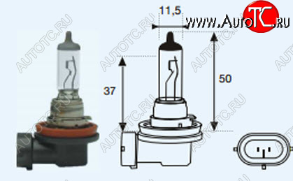 131 р. H11 (12V-55W  PG19-2) ЛАМПА УПАКОВКА (1 шт) BLICK BODYPARTS lph1100-980-o  с доставкой в г. Пермь