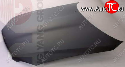 8 749 р. IS200300 КАПОТ BODYPARTS lxis299-330  с доставкой в г. Пермь