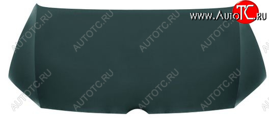16 999 р. POLO КАПОТ (Тайвань) TYG vwplo10-330  с доставкой в г. Пермь