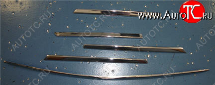 5 249 р. W163ML МОЛДИНГ РЕШЕТКИ РАДИАТОРА (5шт) (комплект) ТЮНИНГ (Тайвань) ХРОМ API md16398-120h  с доставкой в г. Пермь