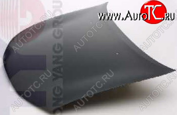 8 999 р. ROVER 200 КАПОТ (Тайвань) TYG rv20095-330  с доставкой в г. Пермь