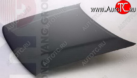 24 749 р. CARINA II КАПОТ (Тайвань) TYG tyca288-330  с доставкой в г. Пермь
