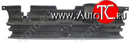 1 199 р. 405 РЕШЕТКА РАДИАТОРА TYG pg40587-100  с доставкой в г. Пермь