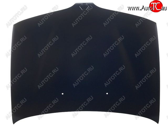 7 549 р. MEGANE КАПОТ (Италия) TYG rnmeg95-330  с доставкой в г. Пермь