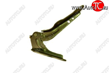 231 р. LANOS ПЕТЛЯ КАПОТА ПРАВ BODYPARTS dwlan98-340-r  с доставкой в г. Пермь