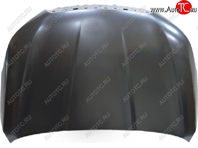 21 399 р. FORESTER КАПОТ СТАЛЬН (Тайвань) TYG sbfor13-330  с доставкой в г. Пермь