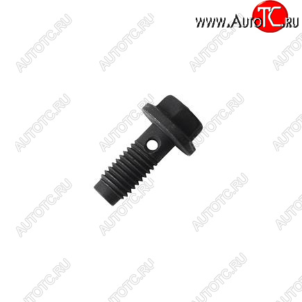 150 р. Болт форсунки охлаждения поршня QSM, ISM, M11 3070393 CUMMINS 14075  с доставкой в г. Пермь