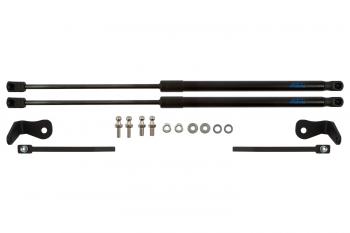2 999 р. Упоры капота для FORD Focus, 2004-2008, к-т 2 шт  Форд Фокус Arbori arbori.hd.012103  с доставкой в г. Пермь. Увеличить фотографию 1