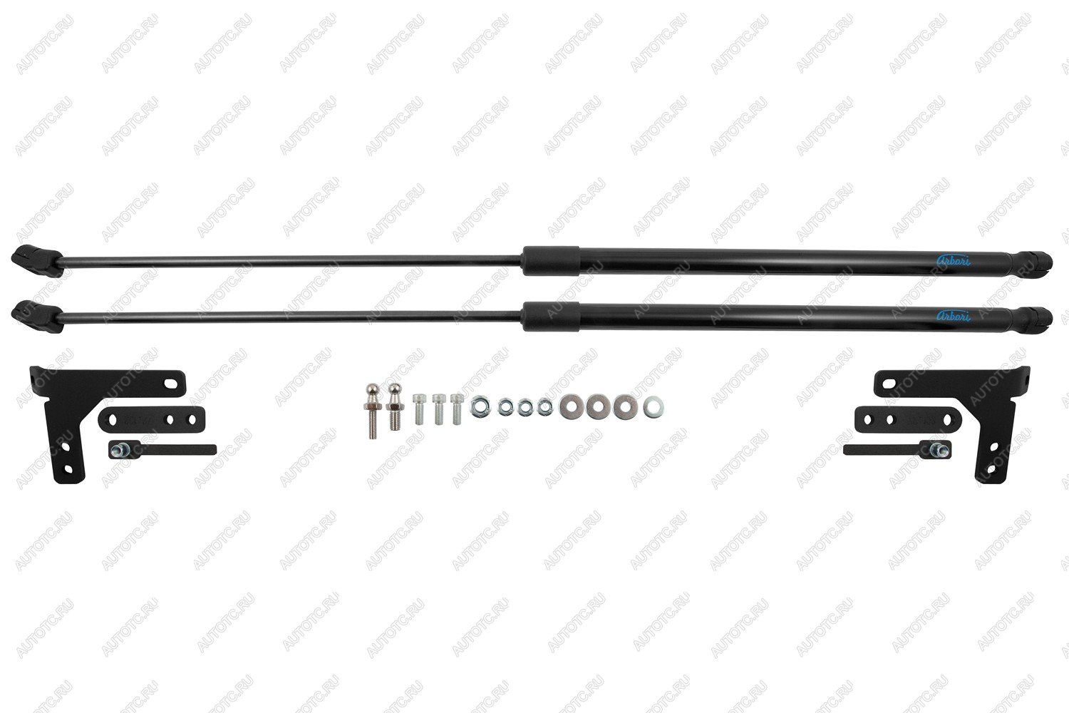 2 499 р. Упоры капота Arbori  Livan S6 Pro (2023-2025)  с доставкой в г. Пермь