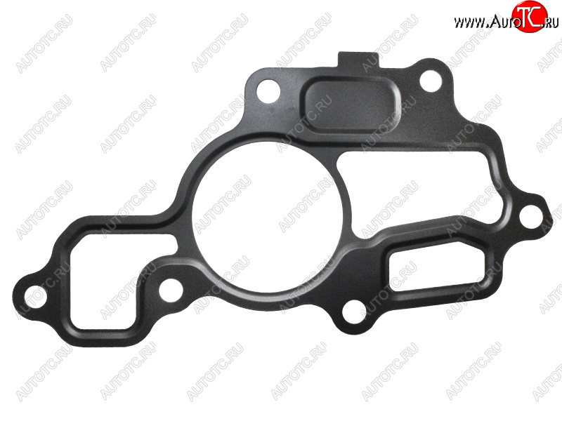 173 р. Прокладка термостата NISSAN X-TRAIL 09-14 TEANA 08-13 QASHQAI 06-13 MR20DE MR20DE NISSAN 11062-EN200  с доставкой в г. Пермь
