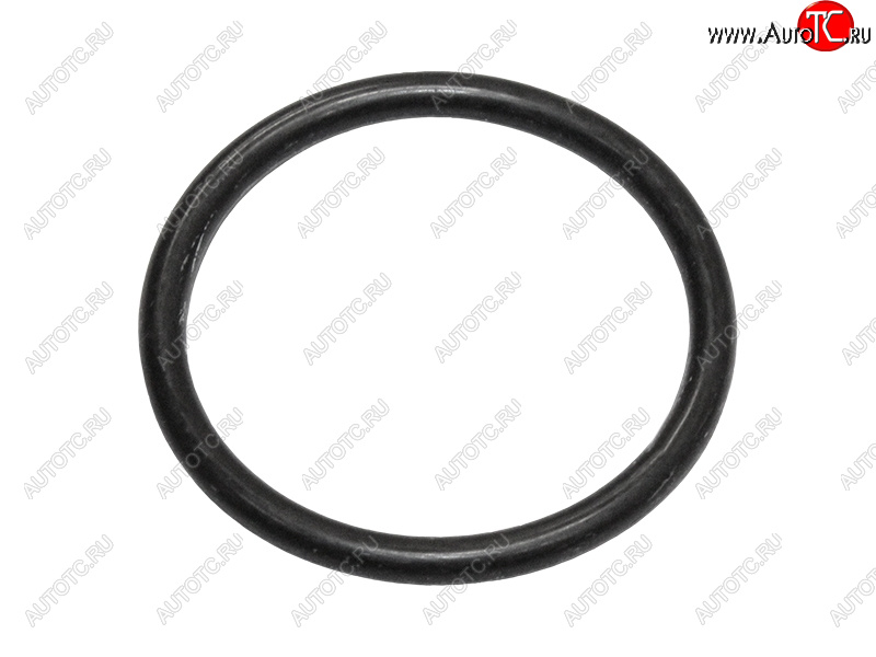 349 р. Кольцо уплотнительное лобовины малое NISSAN QR25DE NISSAN 15066-6N202  с доставкой в г. Пермь