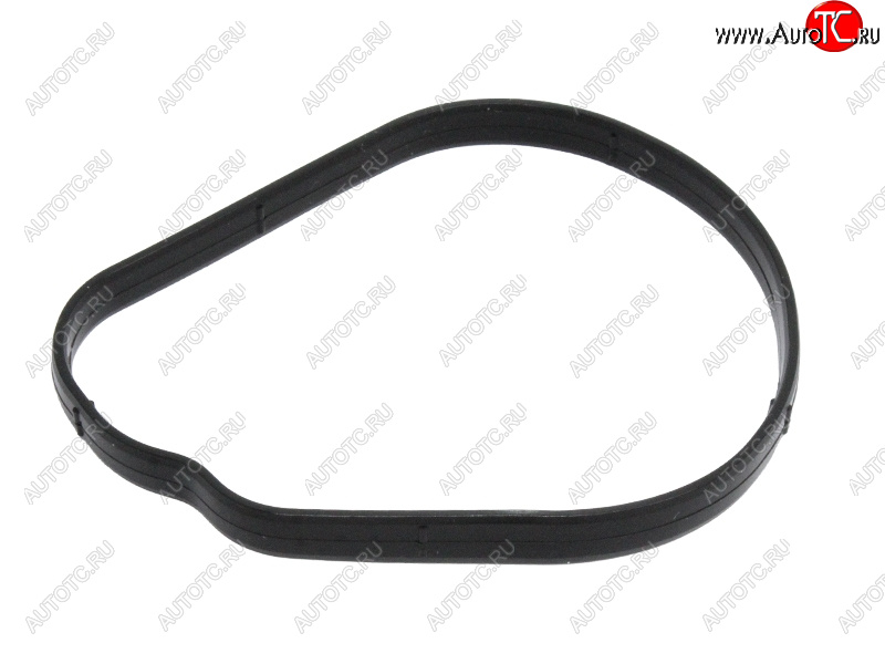 232 р. Прокладка корпус  термостата FORD FORD FOCUSC-MAXMONDEO QQDBCGBA SAT ST-233-0004  с доставкой в г. Пермь