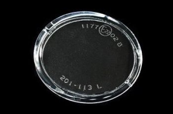 439 р. P12 02- {ALMERA 02-MICRA 02-QASHQAI 09-TEANA 08-LAGUNA 01-CLIO 01-} СТЕКЛО ФАРЫ ПРОТИВОТУМ ПРАВ BodyParts nnp1202-080-r  с доставкой в г. Пермь. Увеличить фотографию 1
