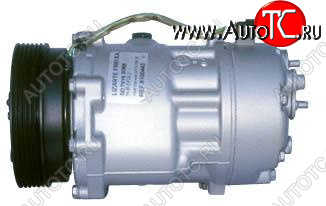 23 449 р. GOLF (Bora 98-Beetle 98-Octavia 98-Toledo 99-A3 98-TT 98-) КОМПРЕССОР КОНДИЦ (AVA) (см.каталог) BodyParts vwglf98-971  с доставкой в г. Пермь
