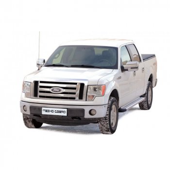 Пороги бумер алюминиевые с резинкой, Техно Сфера Ford F 150 ( 3,  4,  5,  6,  7) (1987-2014) рестайлинг, дорестайлинг