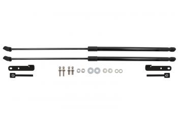 4 799 р. Амортизаторы капота для FAW Bestune T55, 2021-  ФАВ Бестюн Т55 EASYLIFT easylift 058.103  с доставкой в г. Пермь. Увеличить фотографию 1