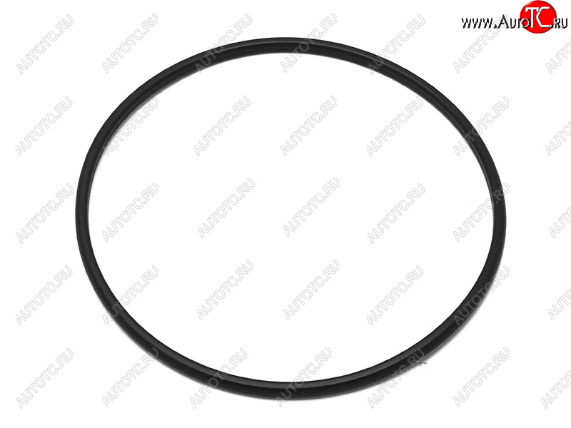 1 739 р. Прокладка бензонасоса NISSAN HR16DE NISSAN 17342-AY600  с доставкой в г. Пермь