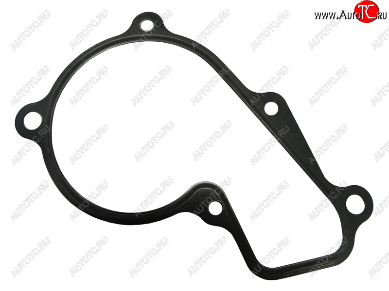 419 р. Прокладка насоса водяного охлаждения HYUNDAI CRETAELANTRATUCSONKIA CERATOSPORTAGE 17- G4NA 2,0 HYUNDAI 25124-2E000  с доставкой в г. Пермь