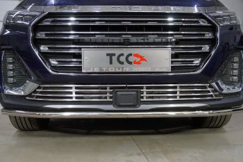 Декоративная вставка переднего бампера ТСС Тюнинг Jetour X90 Plus (2021-2025) (d 12 мм)