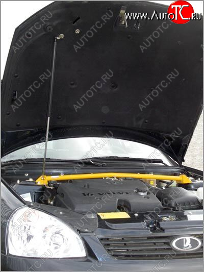 1 649 р. Упор капота Lada Priora ТехноМастер (без кронштейна) ТехноМастер 8231.0400.04  с доставкой в г. Пермь