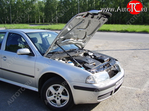 2 699 р. Упор капота Skoda Octavia Tour (1996-2011) ТехноМастер ТехноМастер 8231.5300.04  с доставкой в г. Пермь