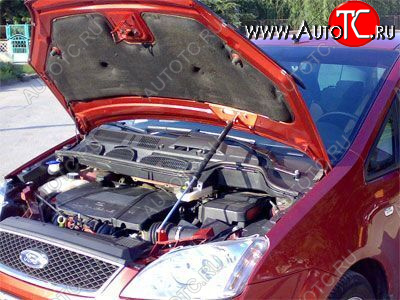 3 399 р. Упор капота Ford Focus C-Max (2003-2010) ТехноМастер ТехноМастер 8231.5500.04  с доставкой в г. Пермь