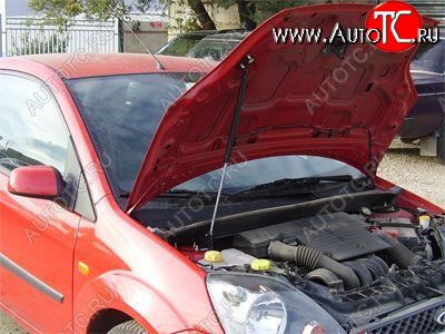 3 399 р. Упор капота Ford Fiesta V (2001-2009) ТехноМастер ТехноМастер 8231.5900.04  с доставкой в г. Пермь