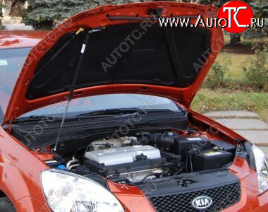 3 399 р. Упор капота Kia Rio II (2005-2011) ТехноМастер ТехноМастер 8231.6900.04  с доставкой в г. Пермь