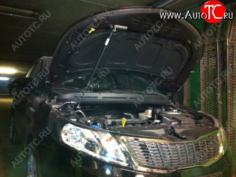 2 449 р. Упор капота KIA Rio III (2011-н.в.) ТехноМастер ТехноМастер 8231.7800.04  с доставкой в г. Пермь