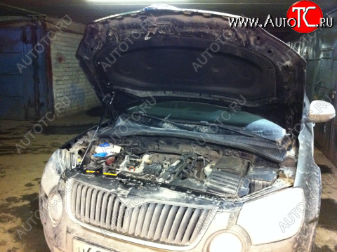 1 669 р. Упор капота Skoda Yeti I (2009-2013) ТехноМастер ТехноМастер 8231.8500.04  с доставкой в г. Пермь