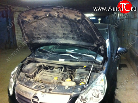 3 399 р. Упор капота Opel Corsa D (2006-н.в.) ТехноМастер ТехноМастер 8231.8600.04  с доставкой в г. Пермь