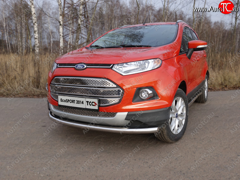 12 999 р. Защита переднего бампера нижняя d60,3 мм ТСС Тюнинг Ford EcoSport дорестайлинг (2013-2019) (нержавейка)  с доставкой в г. Пермь