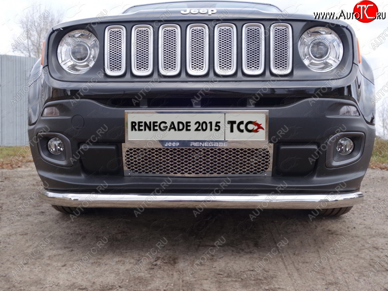 1 000 000 р.  ТСС Тюнинг JEEPRenegade 4WD 2015- - Решетка радиатора верхняя (лист)  jeepren4wd1507  с доставкой в г. Пермь