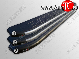 21 349 р. Пороги алюминиевые с пластиковой накладкой, ТСС Тюнинг  KIA Sorento  XM (2009-2012) дорестайлинг (карбон серебро )  с доставкой в г. Пермь