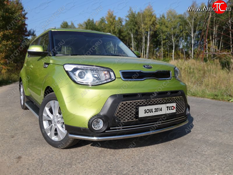1 000 000 р.  ТСС Тюнинг KIASoul 2014-2016 - Решетка радиатора (овал)  kiasoul1403  с доставкой в г. Пермь