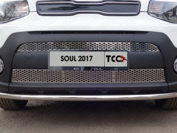 Вставка переднего бампера ТСС Тюнинг KIA Soul  PS (2017-2019) рестайлинг (лист)