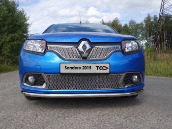 Вставка переднего бампера ТСС Тюнинг Renault Sandero  (B8) (2014-2018) дорестайлинг (лист 16 мм)