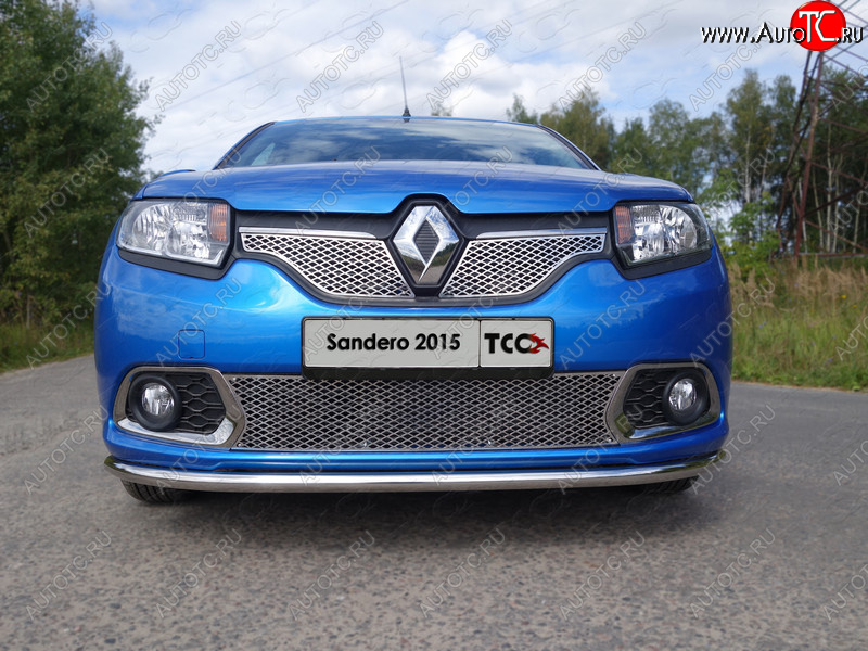 1 000 000 р. Вставка переднего бампера ТСС Тюнинг Renault Sandero (B8) дорестайлинг (2014-2018) (лист 16 мм)  с доставкой в г. Пермь