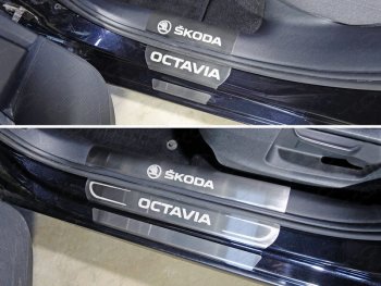 Накладки на пороги внешние ТСС Тюнинг Skoda Octavia  A7 (2012-2017) дорестайлинг лифтбэк, дорестайлинг универсал (Лист шлифованный)