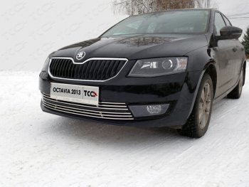 Декоративная вставка переднего бампера ТСС Тюнинг Skoda Octavia A7 дорестайлинг универсал (2012-2017) (d 12 мм)