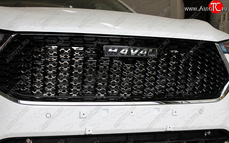 3 999 р.  ТСС Тюнинг HAVALF7 1.5 4WD 2019- - Решетка радиатора верхняя (лист)  havf71916  с доставкой в г. Пермь