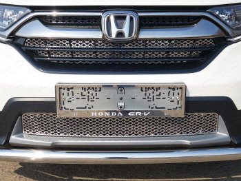 Рамка гос. номера ТСС Тюнинг Honda CR-V RW,RT дорестайлинг (2016-2020) (нержавейка)