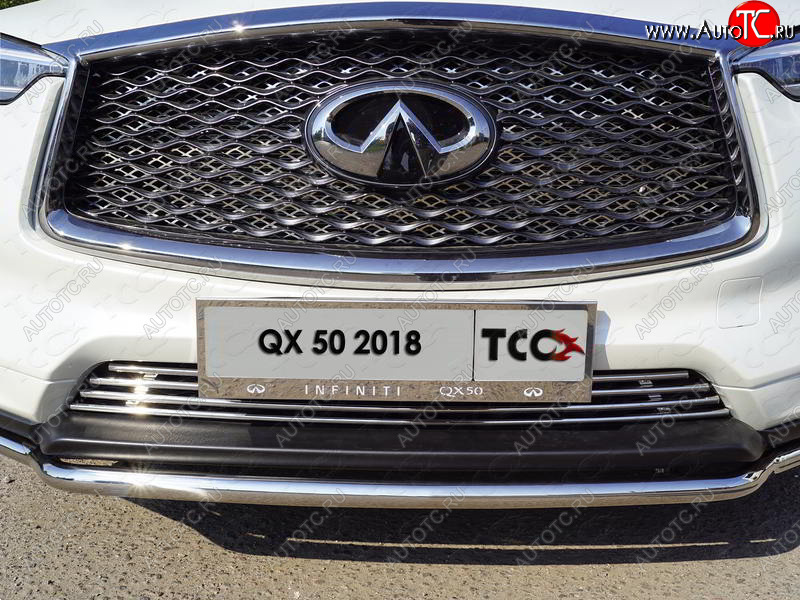 5 999 р. Рамка гос. номера ТСС Тюнинг INFINITI Qx50 J55 (2017-2022) (нержавейка)  с доставкой в г. Пермь
