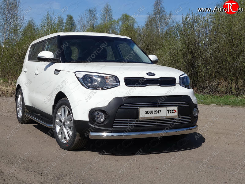 1 000 000 р. Рамка гос. номера ТСС Тюнинг  KIA Soul  PS (2017-2019) рестайлинг (нержавейка)  с доставкой в г. Пермь