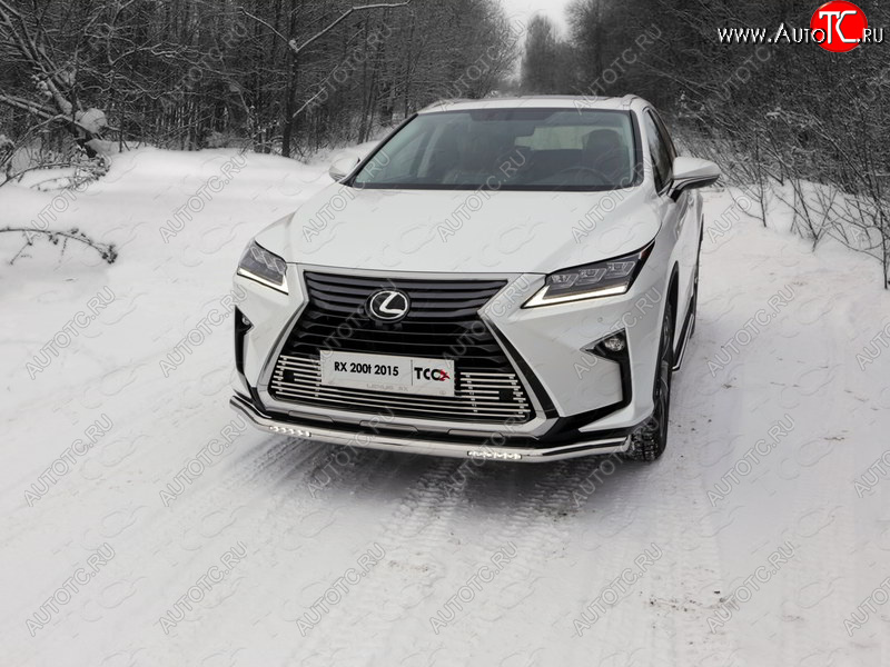 5 999 р. Рамка гос. номера ТСС Тюнинг Lexus RX450H AL10 дорестайлинг (2009-2012) (нержавейка)  с доставкой в г. Пермь