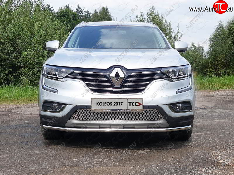 5 999 р. Рамка гос. номера ТСС Тюнинг  Renault Koleos  2 (2016-2025) (нержавейка)  с доставкой в г. Пермь