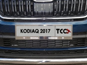Рамка гос. номера ТСС Тюнинг Skoda Kodiaq  NU7 (2017-2021) дорестайлинг (нержавейка)